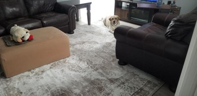 Guest review image 1 of 1, zoom in