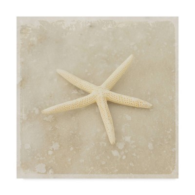 18" x 18" Gypsy Sea Stars by Lightboxjournal - Trademark Fine Art