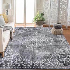 Washable Area Rugs Stain Resistant Carpet for Living Room Bedroom Kitchen Bathroom with Non Slip Backing Home Decor Floor Decoration Mat - 1 of 4
