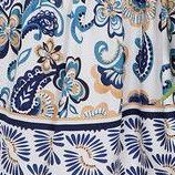apricot blue