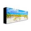 Trademark Fine Art -Preston 'Turks Beach' Canvas Art - 2 of 2