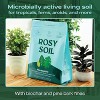 Rosy Soil Potting Soil - 3 of 4