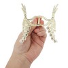 Unique Bargains Faux Pearl Wheat Hair Clips Gold Tone White 1 Pc - 3 of 4