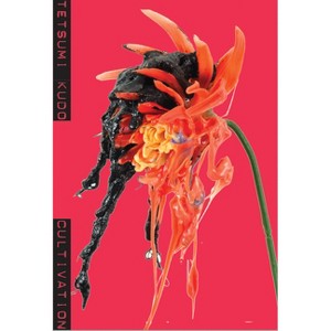 Tetsumi Kudo: Cultivation - by  Tine Colstrup & Laerke Rydal Jorgensen (Paperback) - 1 of 1