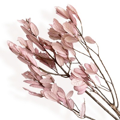Alilang Decorative Dried Leafy Branches for Modern Home Decoration and Floral Arrangements, 15.5 Inches
