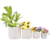 KTMBDW Ceramic Plant Pots with Drainage Holes, Modern Flower Planters Set of 4 - 4 of 4