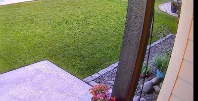 Guest review image 2 of 2, zoom in