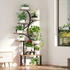 ACEPANO 69 in. H S-Shaped Corner 10-Tier Plant Stand with 5 Grow Lights for Living Room, Garden & Patio-Brown - 2 of 4