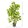 HomeStock  3.25 ft. Artificial Ficus Tree in Pot for Indoor/Outdoor - 2 of 4