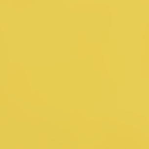 yellow-neodijon