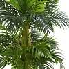 HomeStock  5 ft. Artificial Palm Tree in Pot for Indoor/Outdoor - 2 of 2