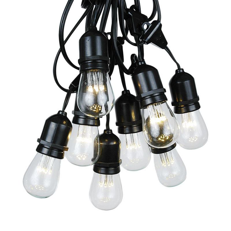 Novelty Lights Edison Outdoor String Lights with 25 Suspended Sockets Black Wire 37.5 Feet, 1 of 8