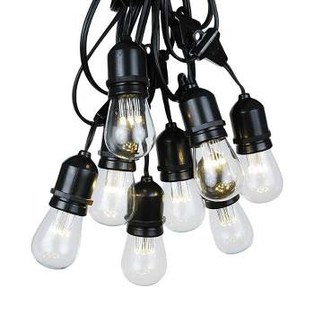 Novelty Lights Edison Outdoor String Lights with 25 Suspended Sockets Black Wire 37.5 Feet