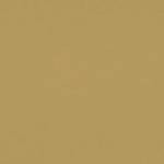 camel color
