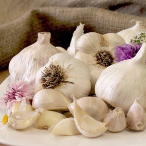 Van Zyverden 5ct Cloves Garlic Softneck Silverskin Inchelium Red - 1 of 4