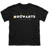 Boys' Harry Potter Hogwarts With Tiny House Symbols T-Shirt - 2 of 4