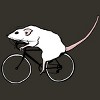 Junior's Design By Humans Cycling Rat By TeaandInk T-Shirt - 2 of 3