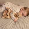 TriAction Toys Teddykompaniet Plush Baby Blanket | Teddy Bear - 2 of 4