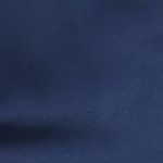 navy blue solid