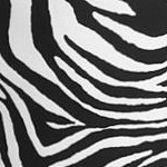 zebra print