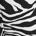 zebra print