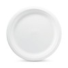 Chinet Classic Dinner Plate - image 2 of 4
