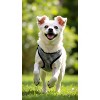 Parisian Pet 'Freedom Harness Black Houndstooth' for Dogs & Cats – Durable Adjustable Houndstooth Design Pet Harness, Black - 4 of 4