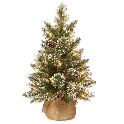 2ft National Christmas Tree Company Glittery Bristle Pine Artificial Christmas Tree 15ct Warm White LED