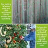 Original Stationery Trellis Netting for Climbing Garden Plants, Easy to Install Plant Net and Vegetable Netting to Grow Garden Flowers - 3 of 4