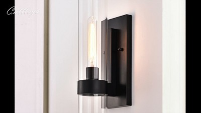 Black Cylinder Glass Wall Sconce with Matte Finish