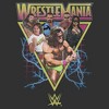 Mens WWE Retro Wrestlers Triangle Lightweight Hoodie - 2 of 4