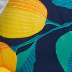 navy blue-lemon