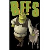 Boy's Shrek Donkey and Shrek Best Friends T-Shirt - 2 of 4