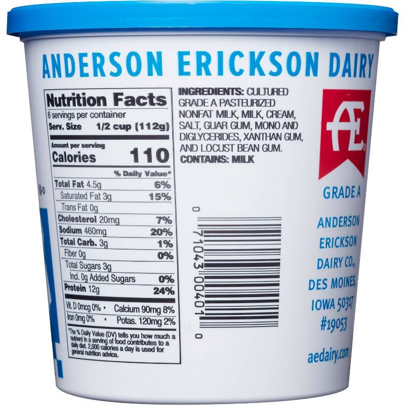 Anderson Erickson Old Fashioned Cottage Cheese - 24oz, 3 of 4