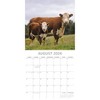 2026 Square Wall Calendar, Cows, 16-Month Animals Theme with 180 Reminder Stickers (12x12 In) - 3 of 4