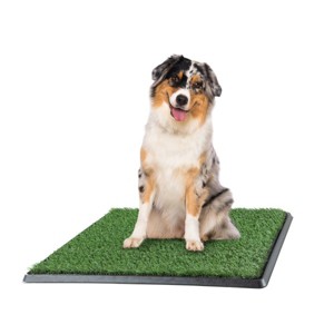 Pee Pads for Dogs - Set of 3 Replacement Turf Grass Mats for Potty Training - Dog Housebreaking Supplies for Puppies and Small Pets by PETMAKER - 1 of 4