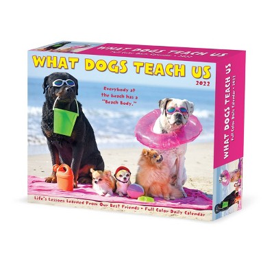 2022 Box Calendar What Dogs Teach Us - Willow Creek Press