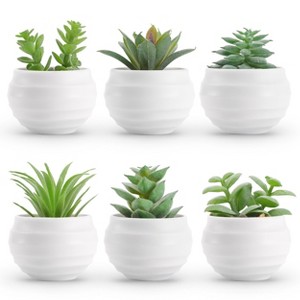 Aoibox Set of 6 Artificial Succulent Plants in Pots, Fake Plants for Home Decor, Office Desk, Bedroom, Living Room, Bathroom - 1 of 4