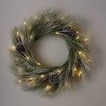 28" Pre-lit Battery Operated LED Flocked Long Needle Artificial Christmas Wreath Warm White Lights - Wondershop™