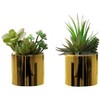 NicBex Artificial Succulent Plant 2PC, 7" H Fake Plants in Pots, Tabletop Faux Plants Indoor for Living Room/Office/Windowsill Decor - 3 of 4