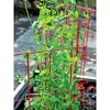 Expandable Pea Trellis, 9'-8" L x 37" H Installed Steel Trellises for Garden Plants Support - 3 of 4