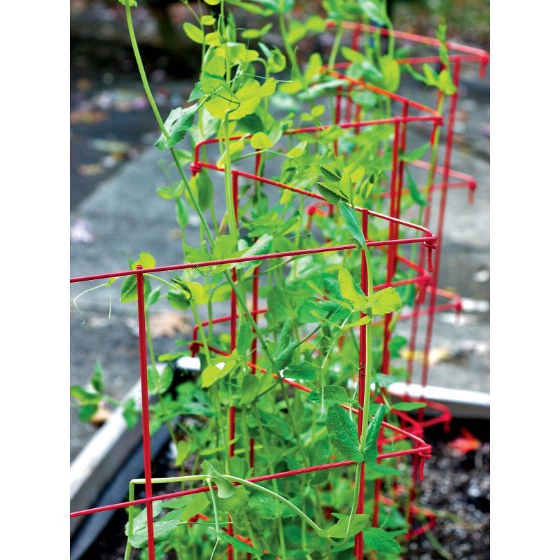 Expandable Pea Trellis, 9'-8" L x 37" H Installed Steel Trellises for Garden Plants Support, 3 of 5
