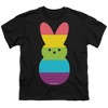 Rainbow Striped Easter Bunny Peep Kids T-Shirt For Youth Black - 2 of 4