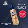 Vaseline Radiant X Hydrate & Replenish Body Oil - 3.7oz - 4 of 4