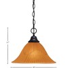 Toltec Lighting Any 1 - Light Pendant in  Matte Black with 14" Tiger Shade - 2 of 2