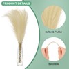 Unique Bargains Dried Plants Artificial Durable Small Fluffy Pampas Grass for Home, Office, Party 20 Pcs 21.7 Inch - 2 of 4