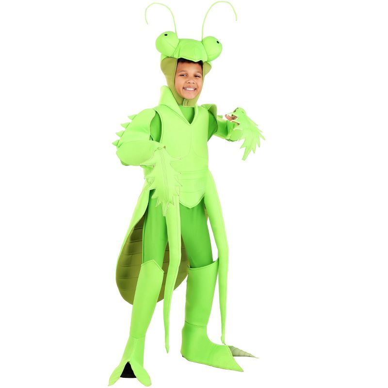 HalloweenCostumes.com Kid's Praying Mantis Costume, 1 of 3