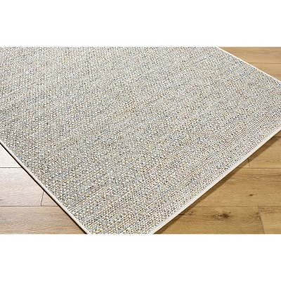 Hauteloom Thanh Living Room, Bedroom Patio Outdoor Area Rug - Traditional, Transitional