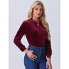 Allegra K Women's Velvet Stand Collar Long Sleeve Elegant Casual Blouse - 4 of 4