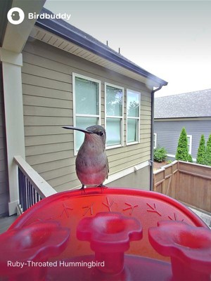 Guest review image 6 of 6, zoom in